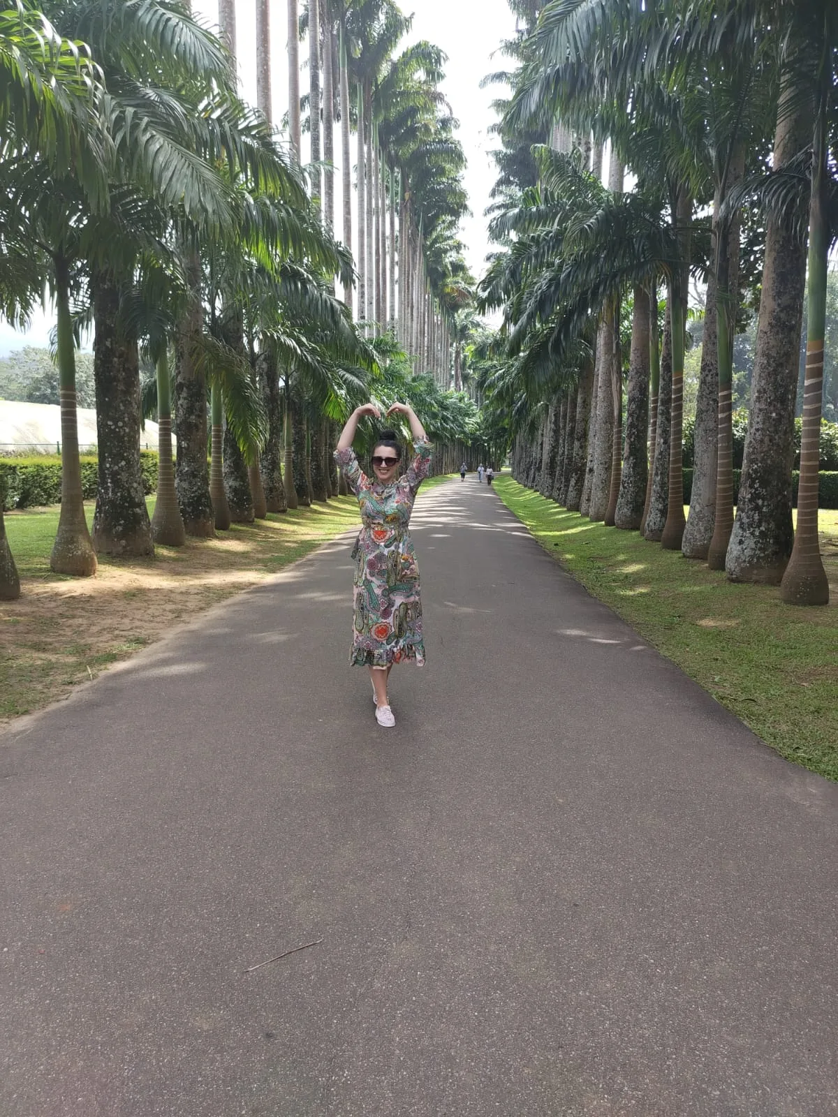 A guest standing in the centre of a long avenue lined with tall royal palms in Sri Lanka