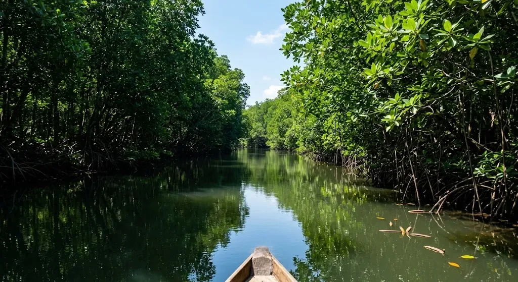Private boat moving through mangrove waterways on a Bentota river safari