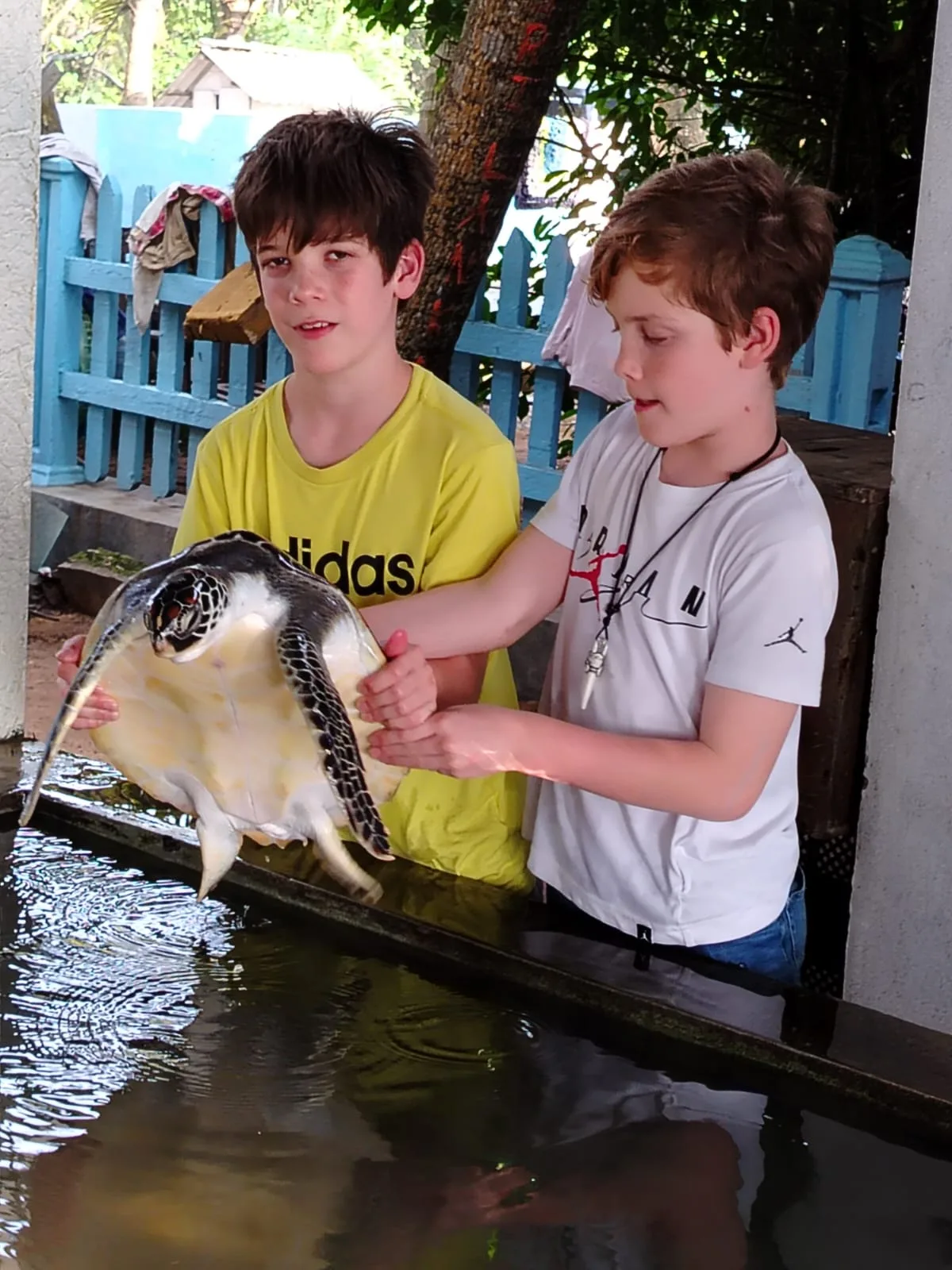 Two young guests carefully holding a sea turtle at a conservation centre on Sri Lanka's southern coast